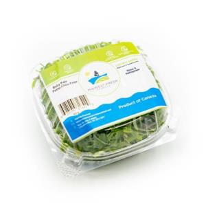 Baby Kale (bag, 60g)
