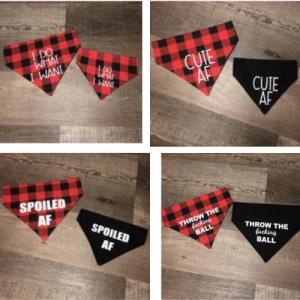 Mildly Offensive Collection - Dog Bandanas (Large)
